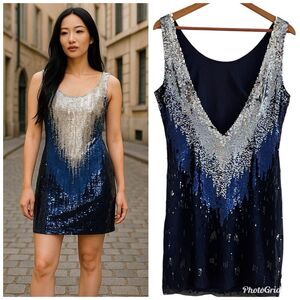 vintage CACHE Silk Beaded Sequin Shift Dress M Blue Silver Festival Whimsigoth